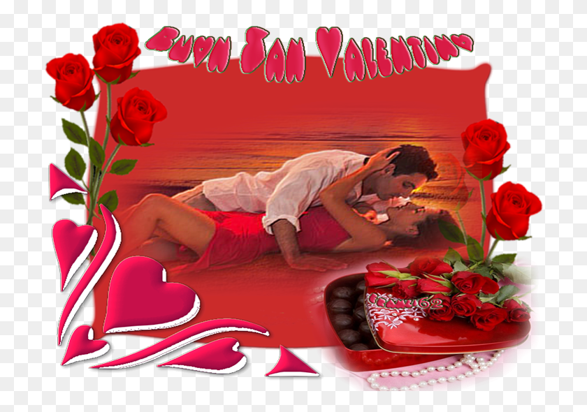 715x530 Sanvalentin Garden Roses, Person, Human, Poster HD PNG Download