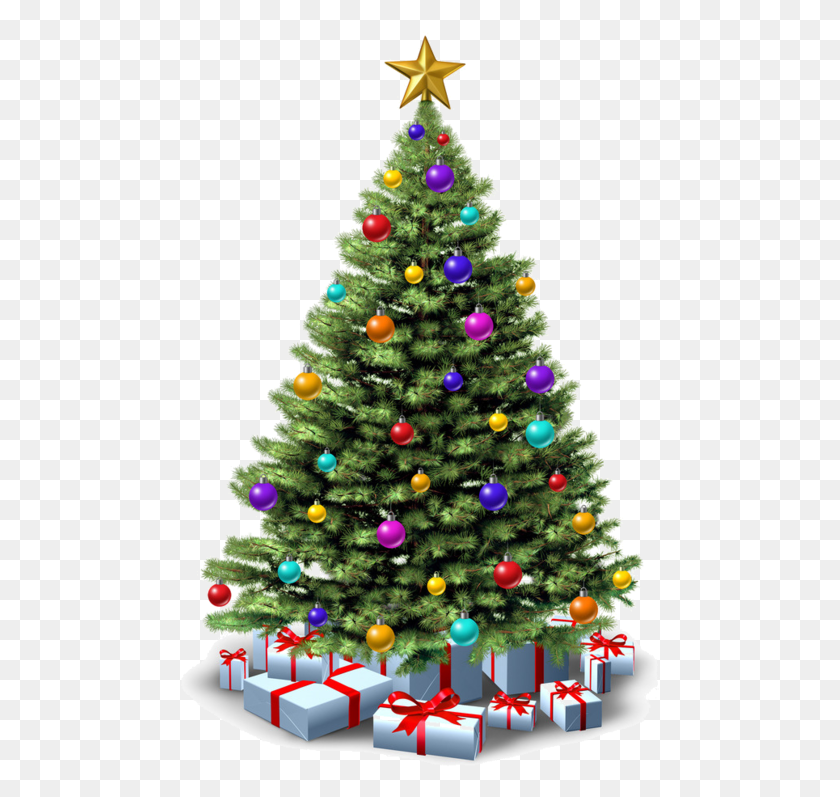 481x737 Sapin De Noel Christmas Trees With Presents, Christmas Tree, Tree, Ornament HD PNG Download