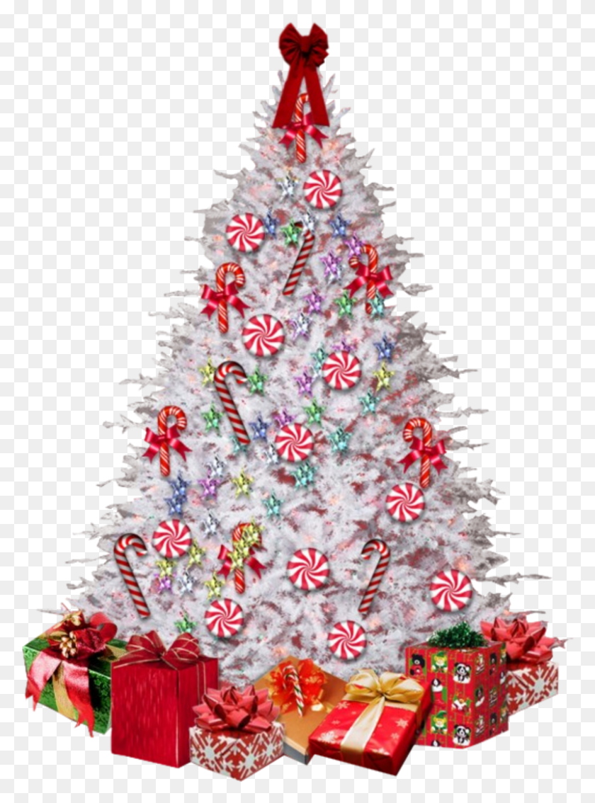 800x1102 Sapin De Noel Sapin Noel, Christmas Tree, Tree, Ornament HD PNG Download