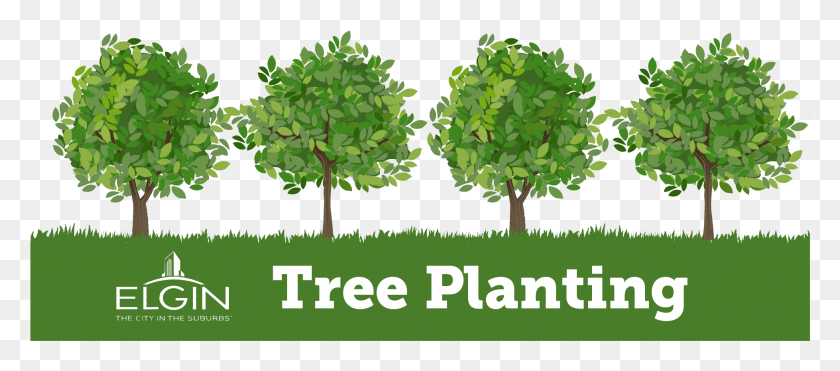 1957x781 Sapling Plant Growing Tree Planting, Green, Grass, Leaf HD PNG Download