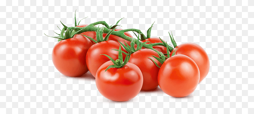 551x320 Sapori Loose Header New Rev3 Tomato, Plant, Vegetable, Food HD PNG Download