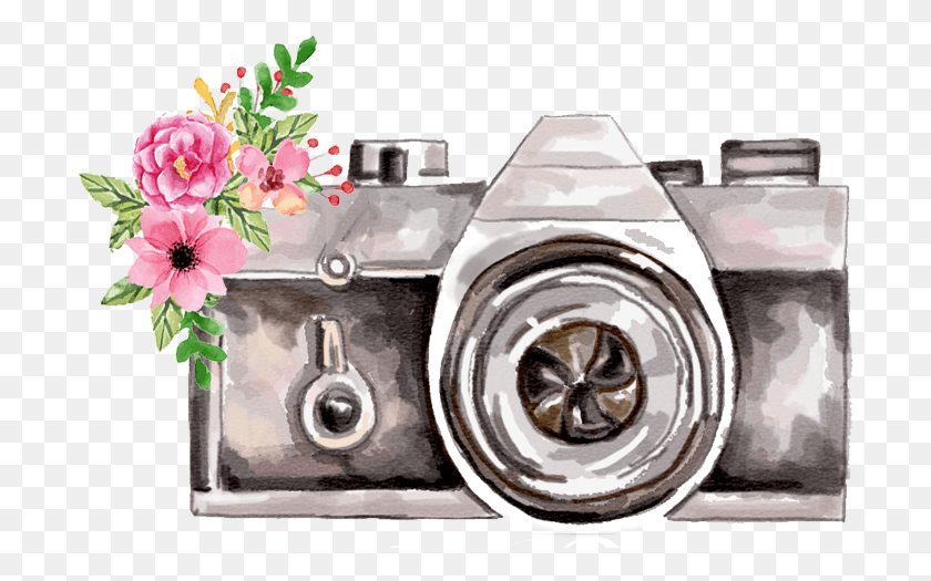 701x465 Sarah Denison Photography Common Peony, Camera, Electronics, Plant HD PNG Download