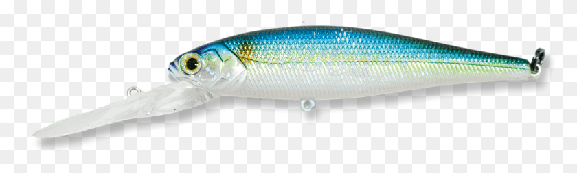 2694x670 Sardine, Fish, Animal, Sea Life HD PNG Download