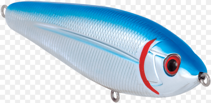 Sardine, Animal, Fish, Herring, Sea Life Sticker PNG