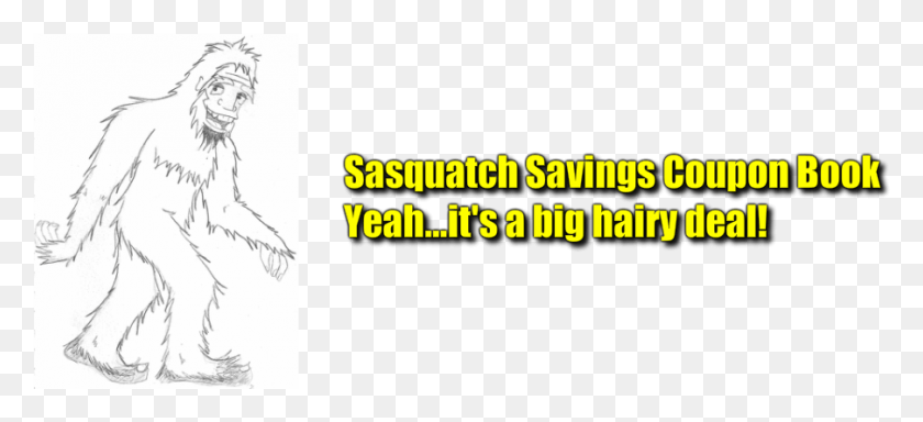 902x375 Sasquatch Coupon Book Drawing, Person, Human, Text HD PNG Download