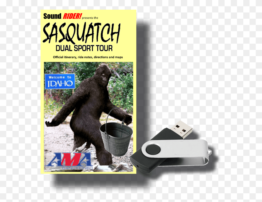 581x588 Sasquatch Dual Sport Adventure Tour Sassy The Sasquatch Volcano Bong, Млекопитающее, Животное, Дикая Природа Hd Png Скачать