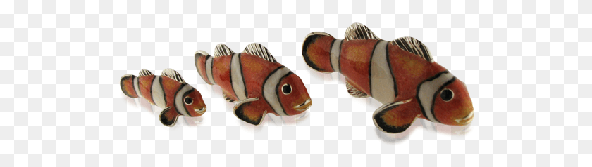 506x178 Saturno Clownfish Trio Kingsnake, Fish, Animal, Amphiprion HD PNG Download