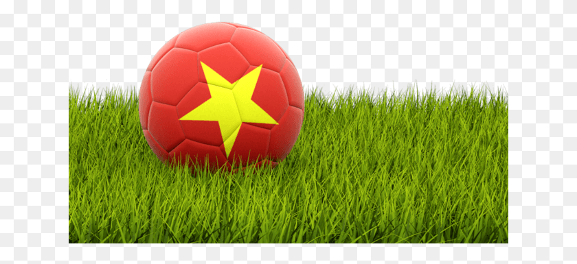 641x325 Saudi Flag On Football, Soccer Ball, Ball, Soccer HD PNG Download