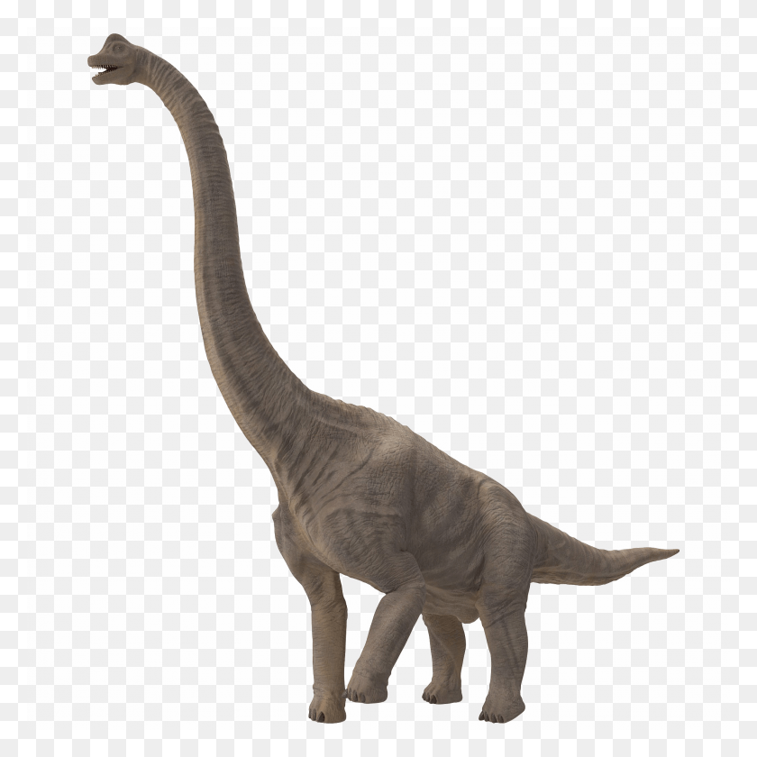 2048x2048 Descargar Png Sauropod File Dinosaurios Cuello Largo Nombre, Dinosaurio, Reptil, Animal Hd Png