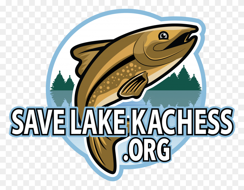 3501x2667 Спасти Озеро Качесс Или Вытащить Рыбу Из Воды, Животное, Морская Жизнь, Млекопитающее Png Скачать