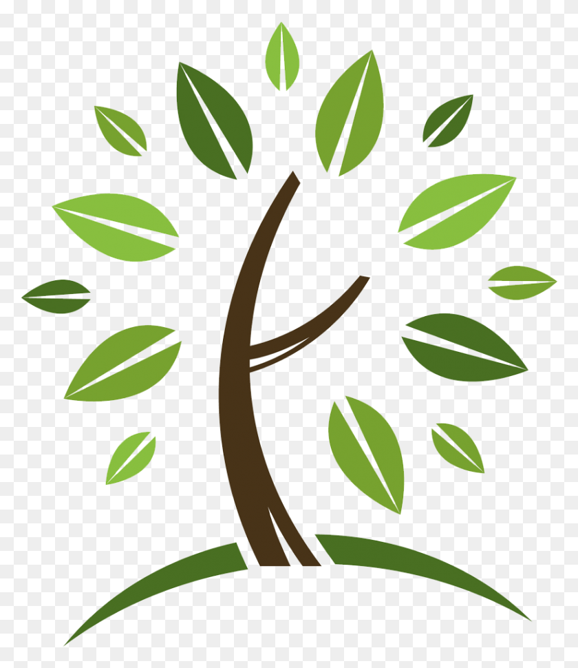 825x963 Логотип Спасти Дерево Семейное Дерево Воссоединение, Растение, Лист, Зеленый Hd Png Скачать