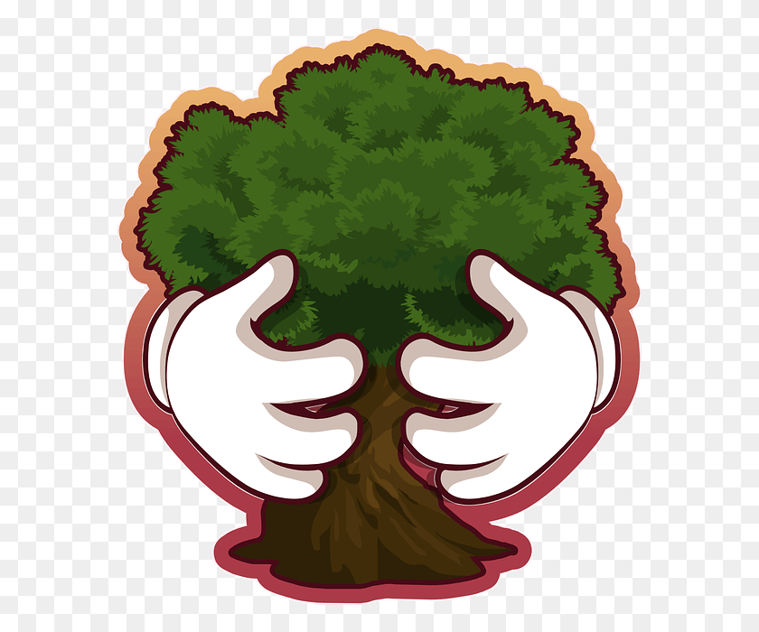 580x640 Save Tree Pic Conservation Of Environment, Plant, Hand, Food HD PNG Download