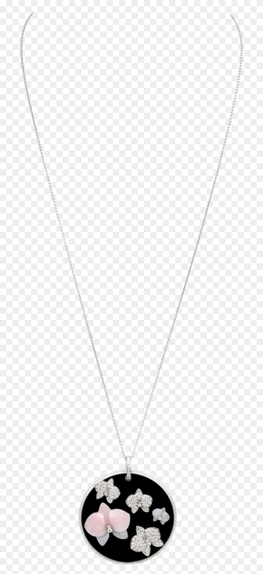 714x1770 Scale 714 High Necklace, Jewelry, Accessories, Accessory HD PNG Download