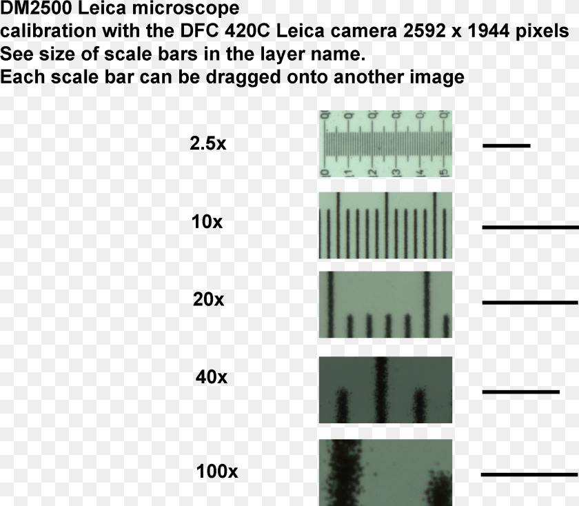2171x1897 Scale Bar Scale Bar Microscopy Magnification PNG