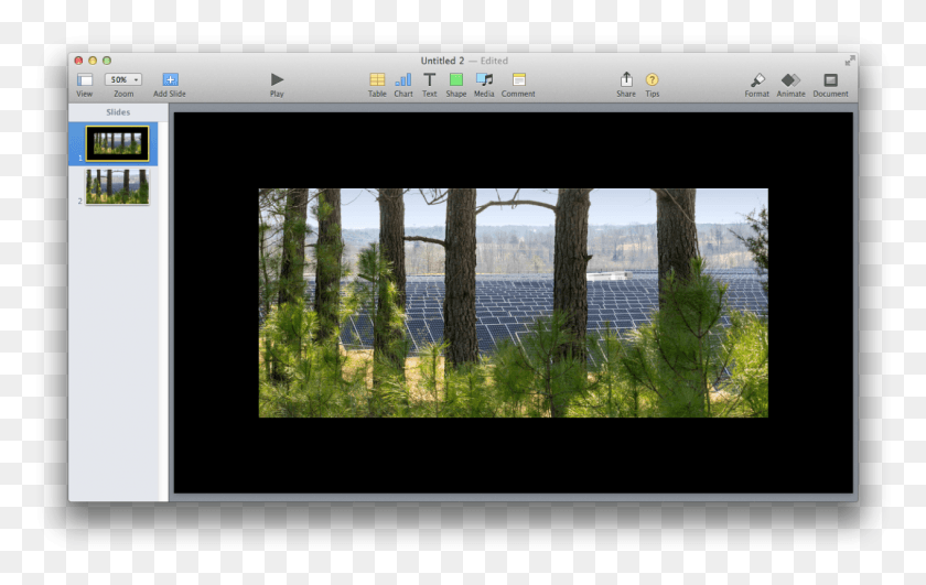 1265x765 Scale To Fit Tree Wall Solar Farm, Word, Monitor, Screen HD PNG Download