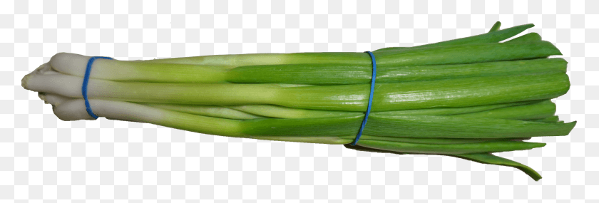 4536x1312 Scallion 2 Scallions Transparent Background, Plant, Produce, Food HD PNG Download