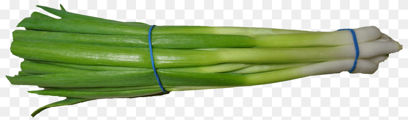 2674x787 Scallion Green Onion Food, Produce, Plant, Spring Onion Transparent PNG