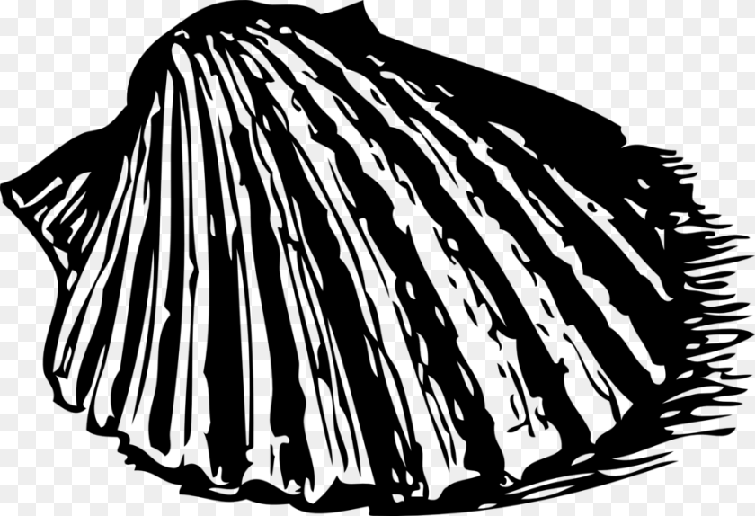 Scallop Shell, Gray Transparent PNG
