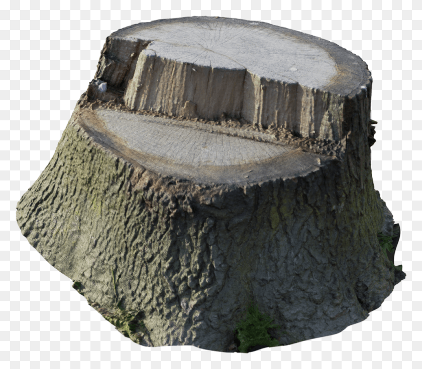 959x832 Scanned Tree Stump Tree Stump, Fungus HD PNG Download
