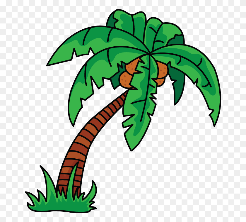 671x697 Scarce Palm Tree Drawing How To Draw A Easy Step By Draw Palm Trees In Illustrator, Green, Plant, Leaf HD PNG Download