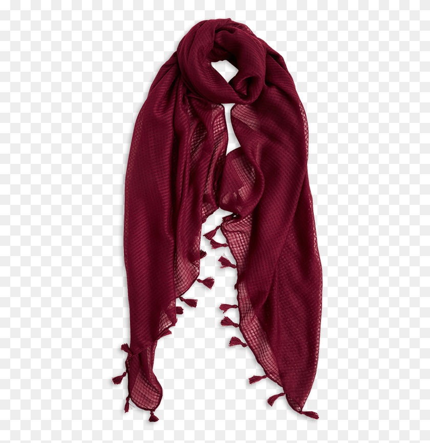 428x805 Scarf With Tassels Red Stole, Clothing, Apparel, Person HD PNG Download