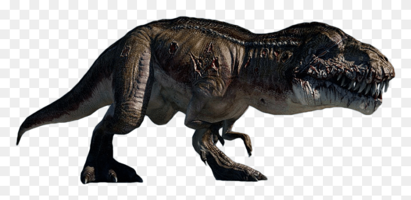 887x398 Scarface Trexrendered Turok Dinosaurs Mama Scarface, T-rex, Dinosaur, Reptile HD PNG Download