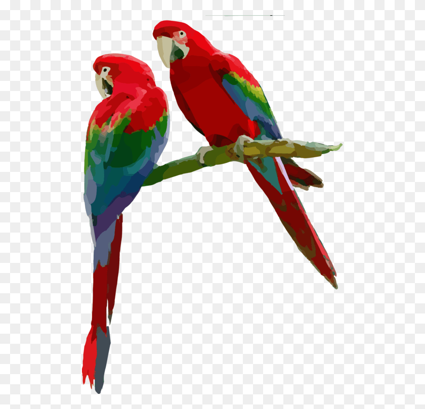 515x749 Scarlet Macaw Parrot Parakeet Loriini Macaw, Bird, Animal HD PNG Download