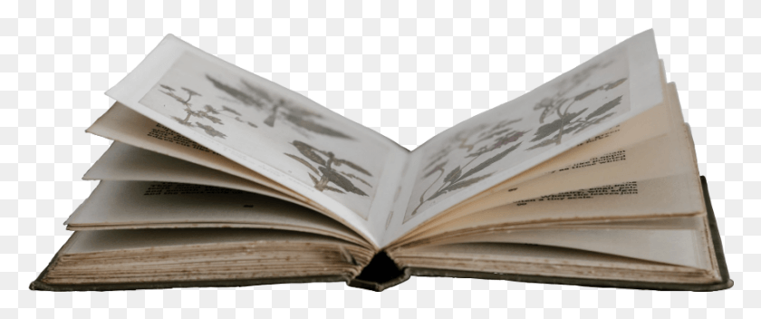 883x331 Descargar Png / Libro De Scbook, Libro Abierto, Páginas De Superposición, Embudo X Roi, Texto, Novela Hd Png