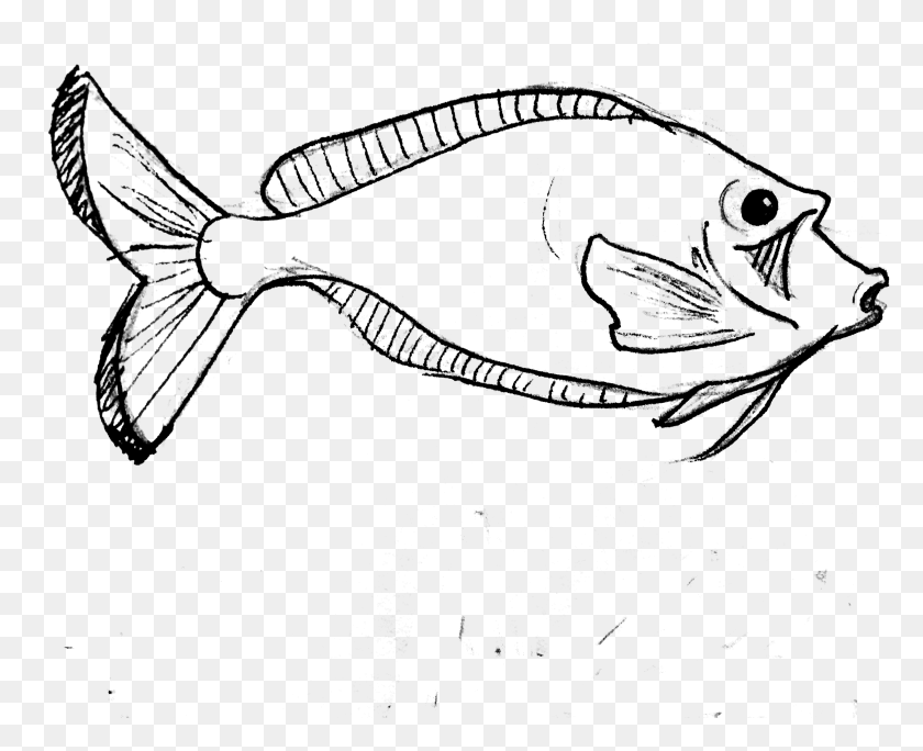 3572x2859 Scenery Drawing Outline How To Draw A Scenery Pencil Parrot Fish Line Art, Gray, World Of Warcraft HD PNG Download