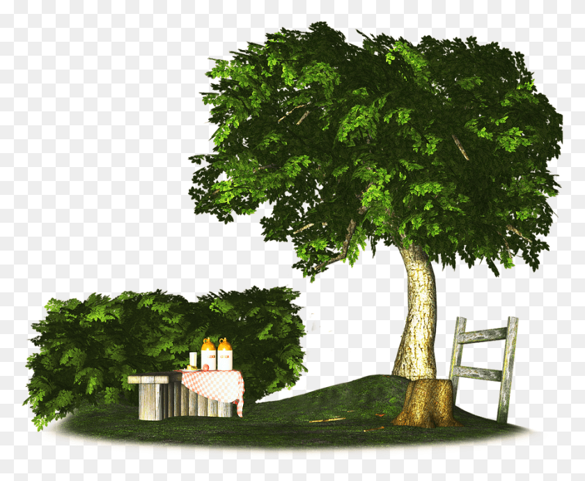 890x721 Живописный Дизайн Парка Для Пикника 3D Визуализация, Дерево, Растение, Растительность Hd Png Скачать