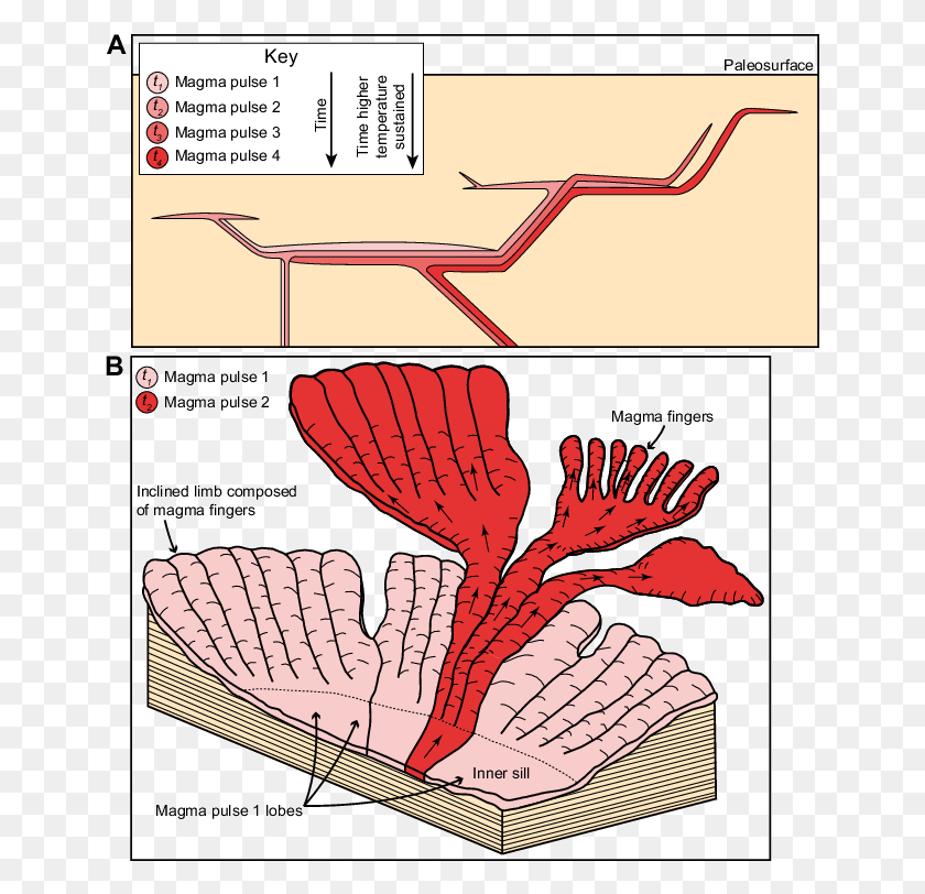 649x752 Schematic Diagram Demonstrating How The Emplacement Illustration, Plot, Animal, Bird Descargar Hd Png