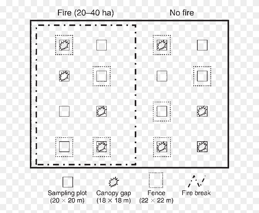 646x629 Схематическая Диаграмма Экспериментального Дизайна Для Одного Из Рисунков, План Этажа, План, Участок Hd Png Скачать