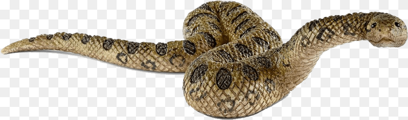 1134x334 Schleich Anaconda, Animal, Lizard, Reptile, Snake PNG