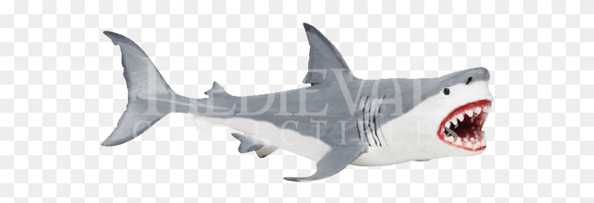 558x228 Schleich Megalodon, Shark, Sea Life, Fish HD PNG Download