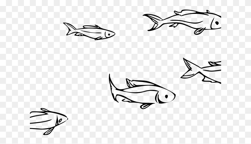 641x421 School Clipart Fish Line Drawing School Of Fish, Gray, World Of Warcraft HD PNG Download
