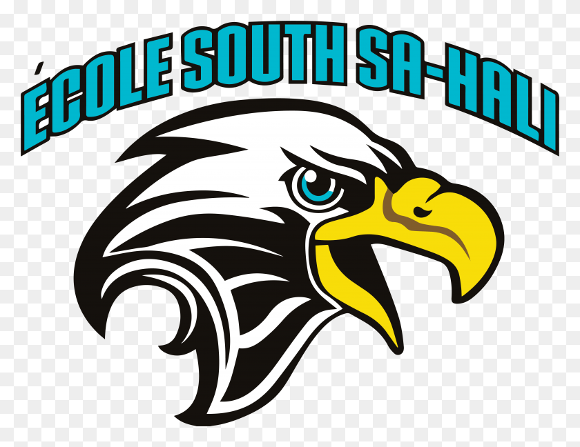 5060x3816 School District 73 School Logo Bald Eagle, Eagle, Bird, Animal HD PNG Download