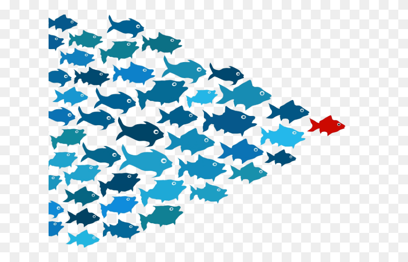 640x480 School Of Fish Leader, Outdoors, Nature, Water HD PNG Download