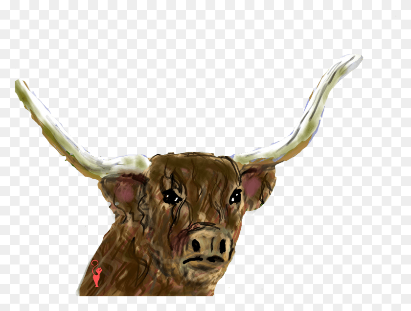 1025x756 Schorns Bull Horns Bull, Longhorn, Cattle, Mammal HD PNG Download