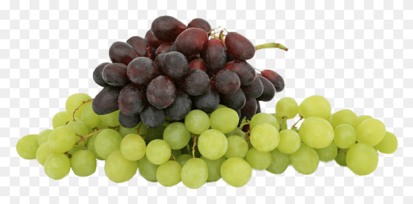 1050x480 Schott Zwiesel Diva Sherry Glas, Plant, Grapes, Fruit HD PNG Download
