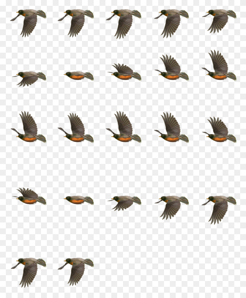 1153x1417 Science Amp Math Bird Sprite Sheet, Flying, Animal, Flock Descargar Hd Png