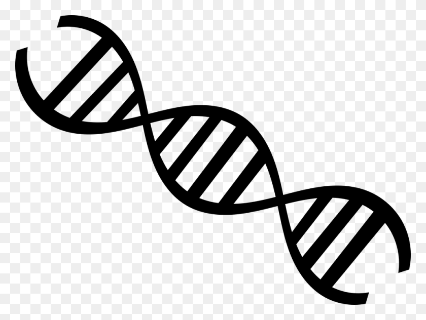960x704 Science Dna Strand Black And White, Gray, World Of Warcraft HD PNG Download