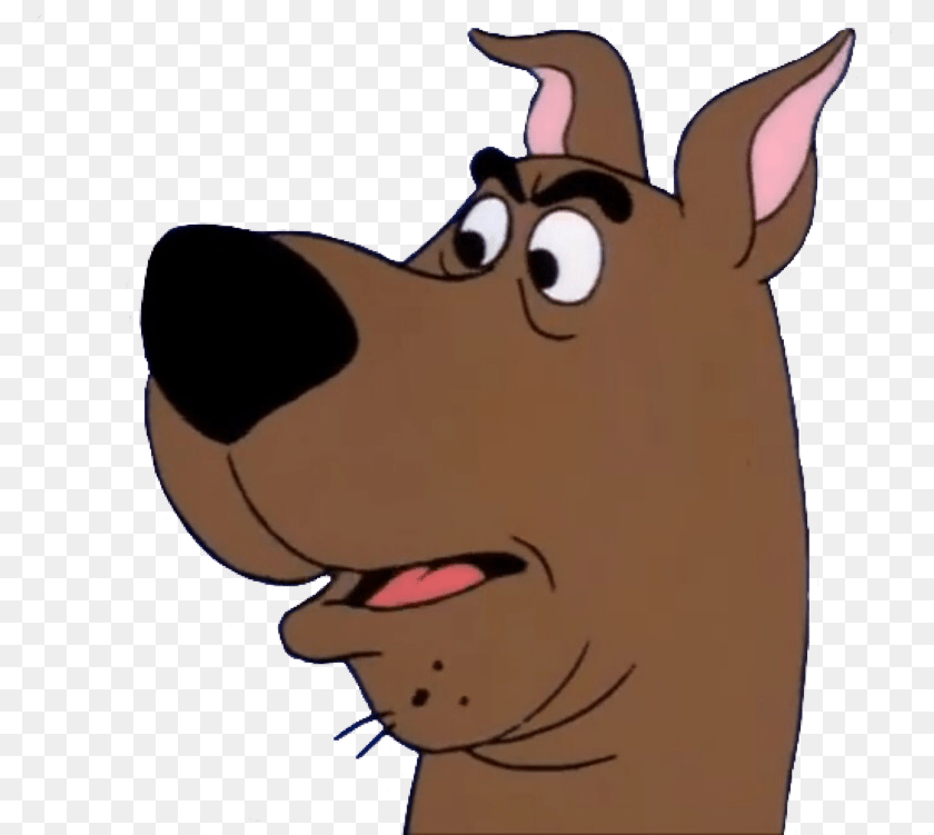Scooby Doo Meets Batman Scooby Doo Head Background, Cartoon, Baby, Person, Face Transparent PNG