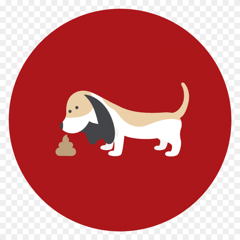 1495x1495 Scoopy Poo Doggie Doo Pickup Service Simply Basset Hound, Animal, Plant, Mammal HD PNG Download