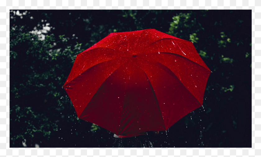 1001x572 Score, Umbrella, Canopy HD PNG Download