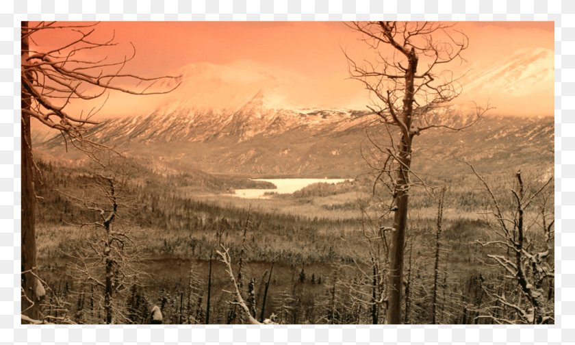 1001x570 Оценка 50 Аляска, Природа, На Открытом Воздухе, Панорамный Hd Png Скачать