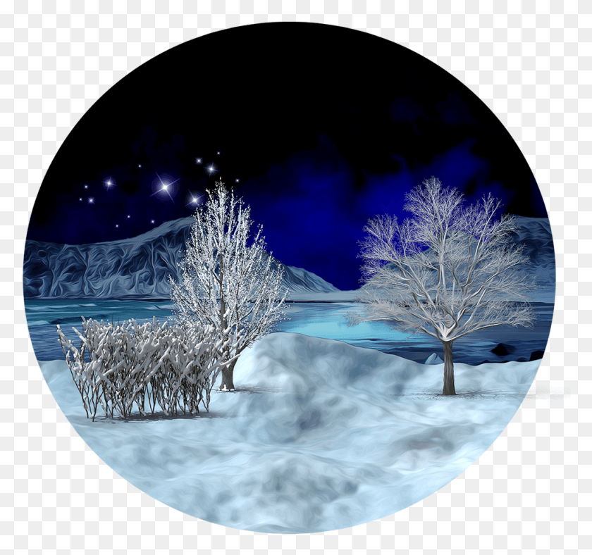 976x911 Score 50 Christmas Tree, Nature, Outdoors, Ice HD PNG Download