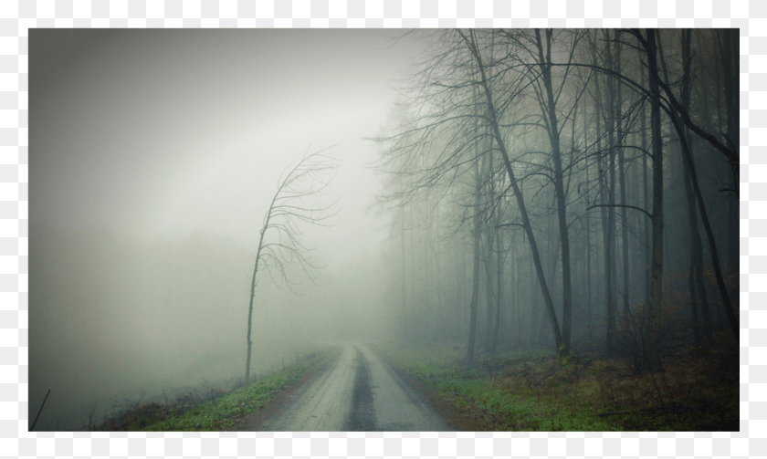 1001x569 Score 50 Dirt Road, Nature, Weather, Fog Descargar Hd Png