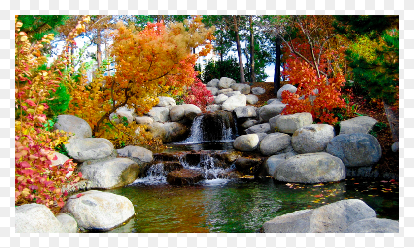 1001x569 Score 50 Holland Park London Autumn, Water, Nature, Outdoors HD PNG Download