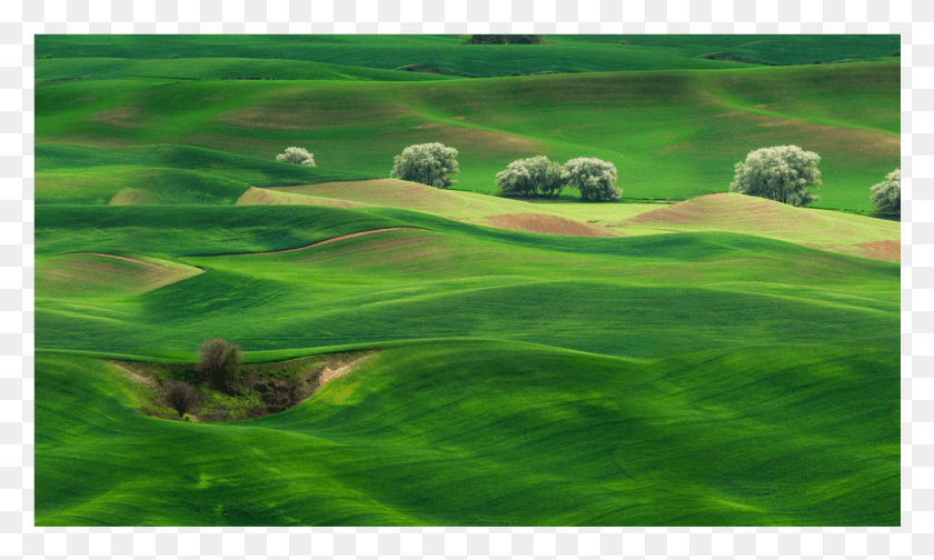 1001x570 Score 50 Mate, Field, Outdoors, Golf Course HD PNG Download