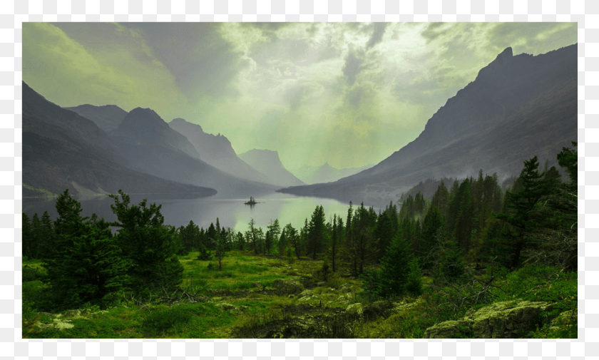 1001x572 Score 50 Natural Spaces, Tree, Plant, Fir HD PNG Download